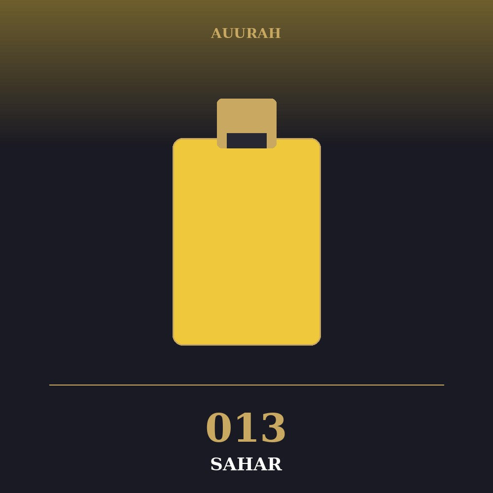 AUURAH Welcome Pack x2 - 100 Oud Cones